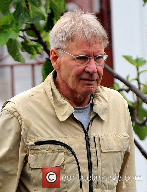 Harrison Ford Recovering After Operation, To Go Into Rehabilitation For  Broken Leg | Contactmusic.com